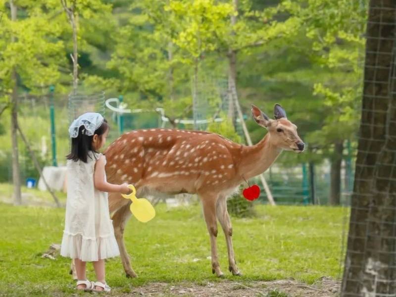 微信图片_20250402161834