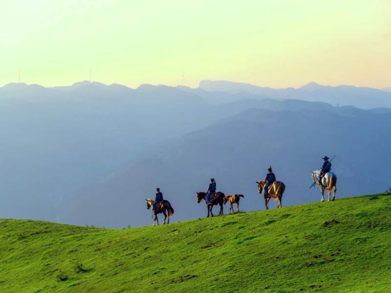 微信图片_20250402162046