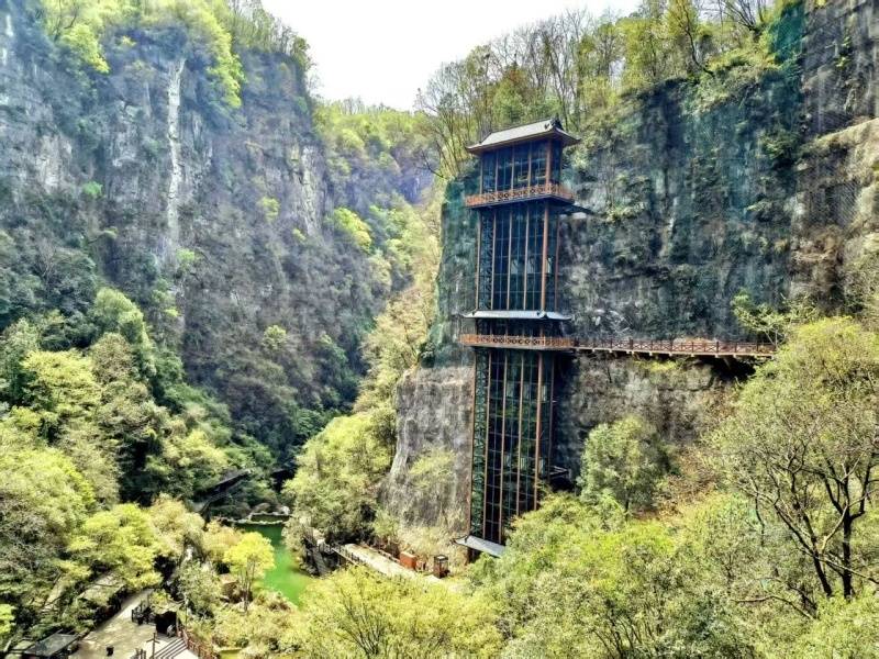 微信图片_20250404090319_副本