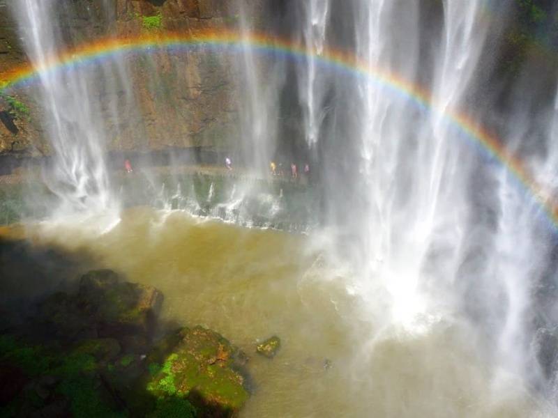 微信图片_20250404090327_副本