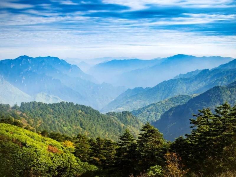 微信图片_20250420092341_副本