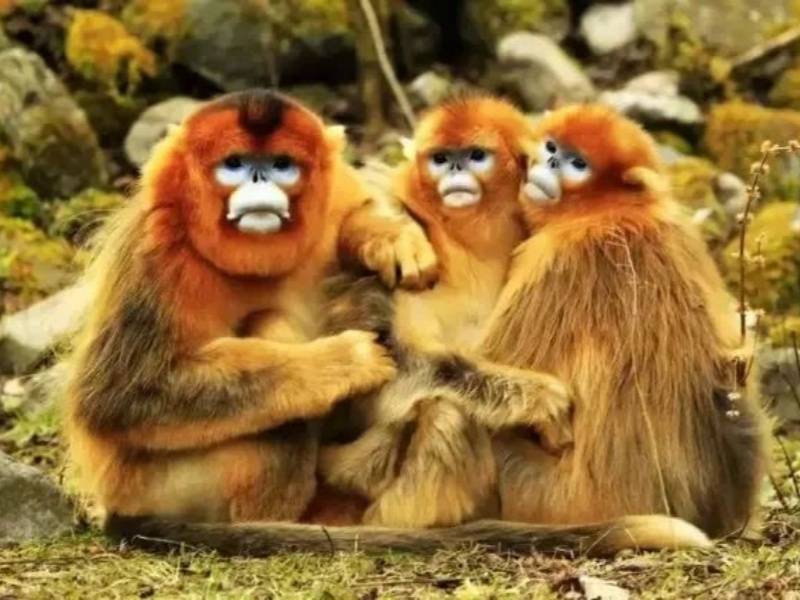 微信图片_20250427093805_副本