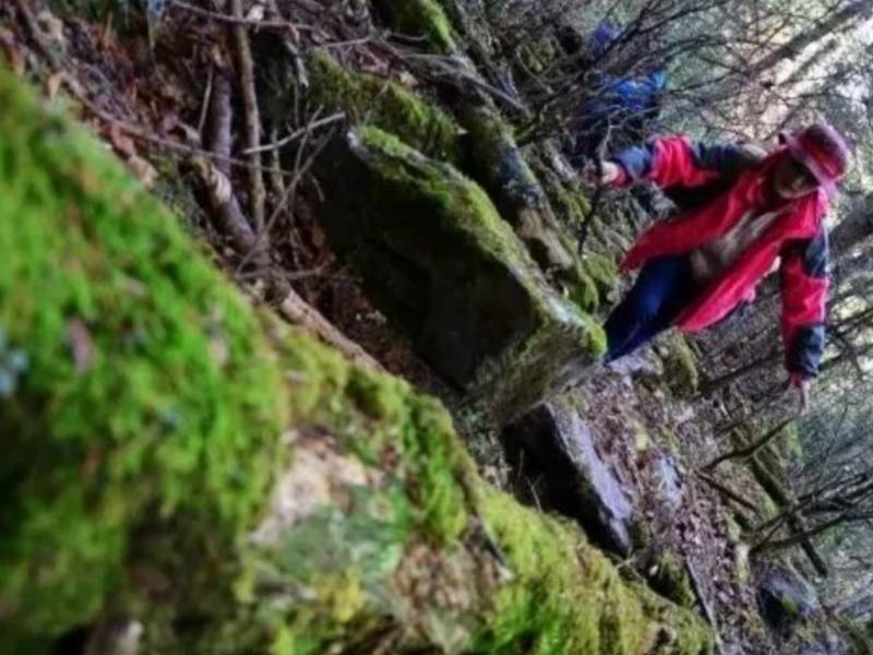 微信图片_20250427093846_副本