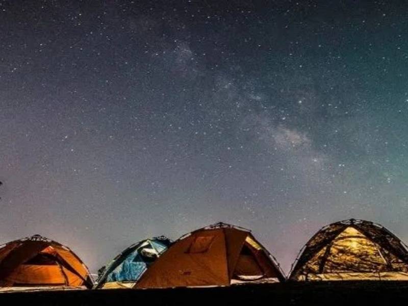 微信图片_20250427093905_副本