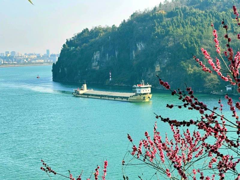 微信图片_20250328103952_副本