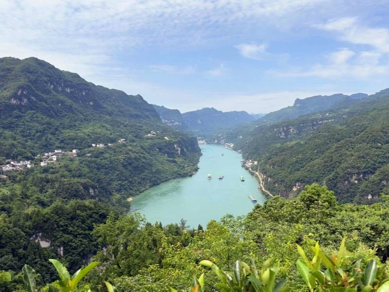 QQ图片20230608151120_副本