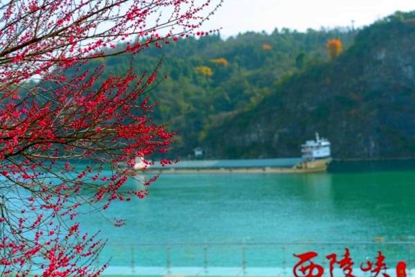 两坝一峡臻享全域游是船去车回好还是车去船回好？