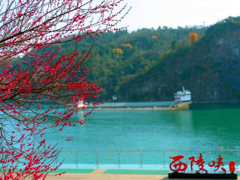 微信图片_20250328103928_副本