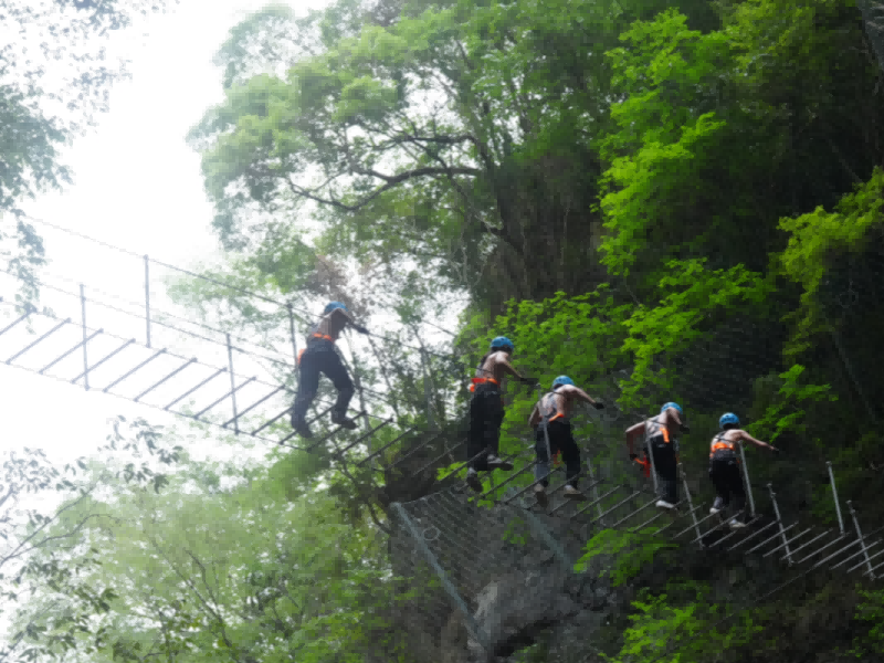 微信图片_20250507085845_副本(1)