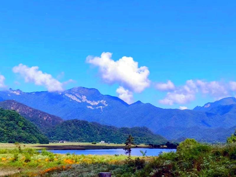 微信图片_20230810170025_1_副本