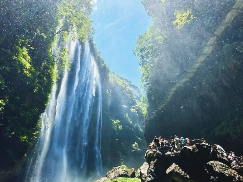 微信图片_20250512092050_副本(1)