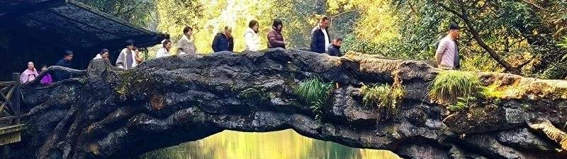 微信图片_20250512092245_副本