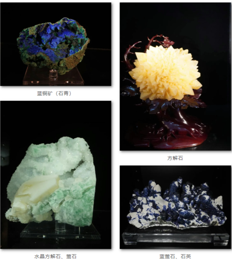 微信图片_20250512092636_副本(1)