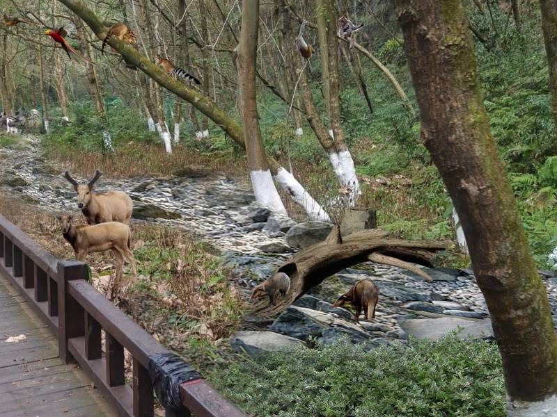 微信图片_20250512092741_副本