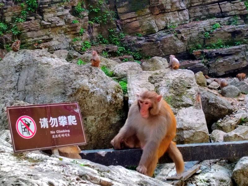 微信图片_20230418110221_副本