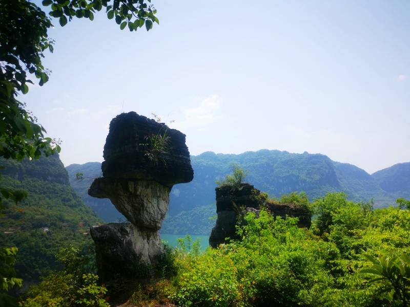 微信图片_20220422104410_副本