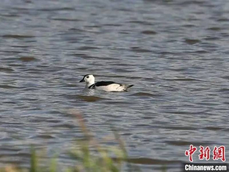 微信图片_20250514085442_副本