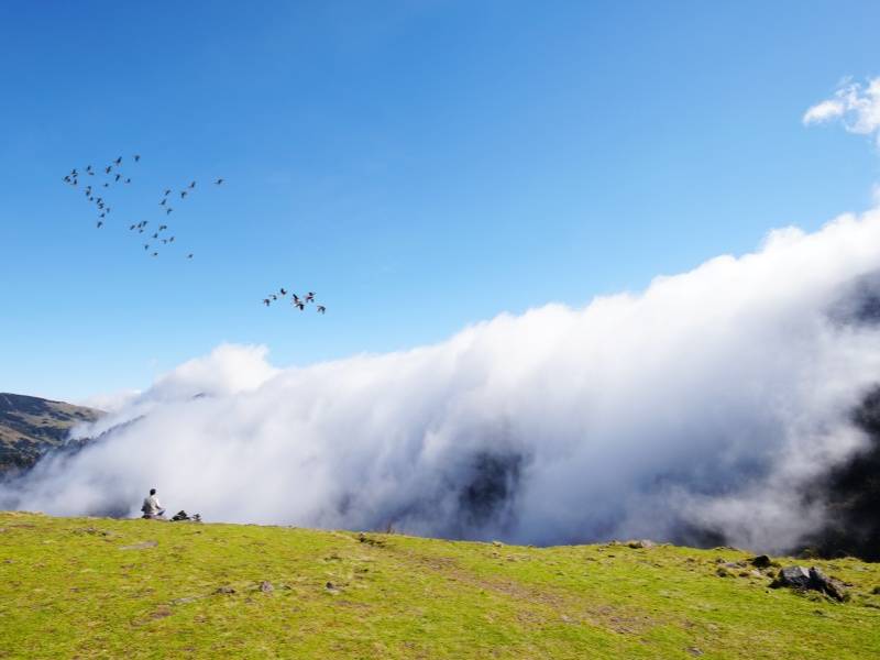 云涌神农顶(调整大图)_副本
