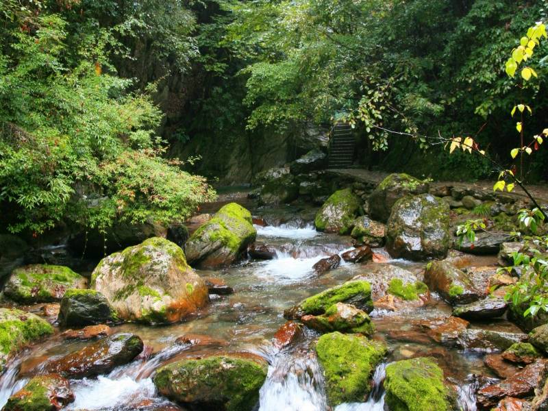 天生桥景区的秋叶_副本