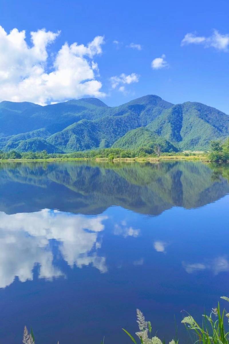 微信图片_20230810170025_2_副本