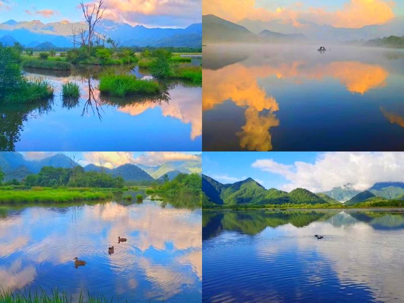 微信图片_20220728145556_副本