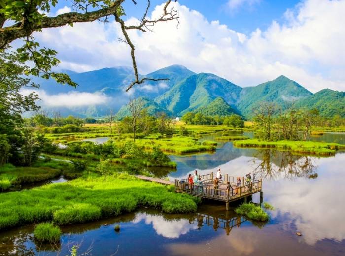 神农架大九湖纯玩品质三日游，览遍神农架必打卡景点图2