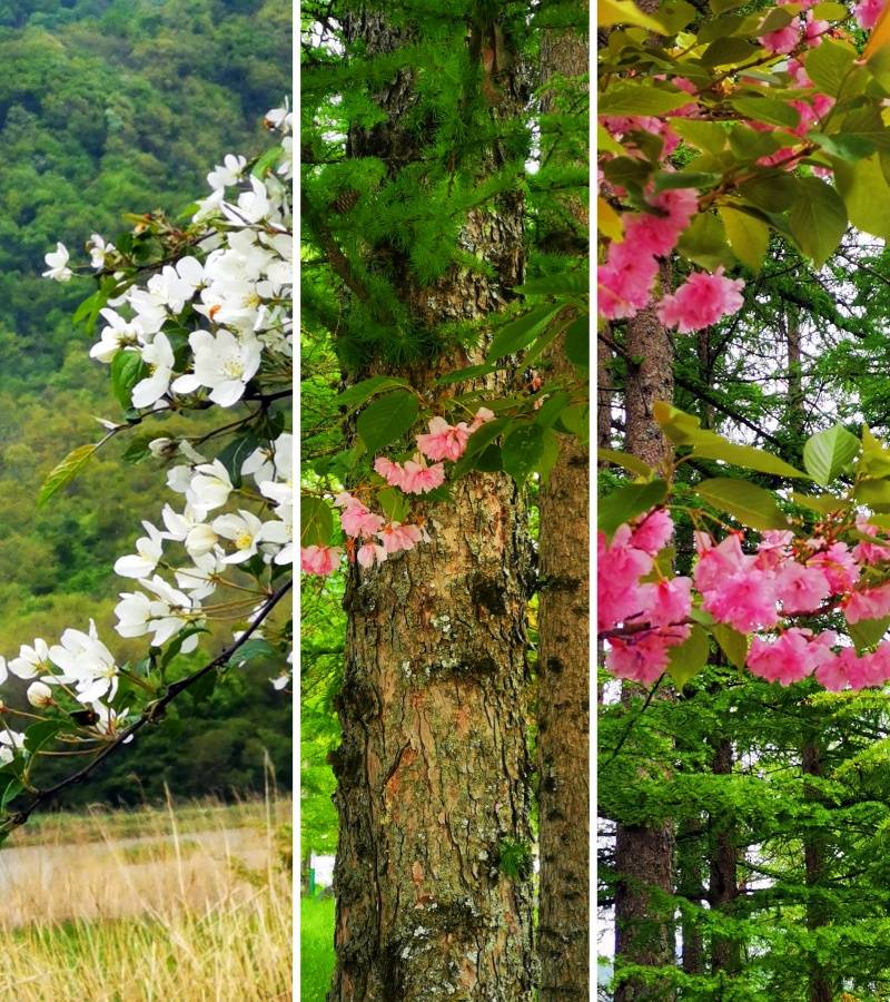 微信图片_20230427171308_副本