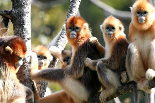 神农架适合带小孩子去玩吗？