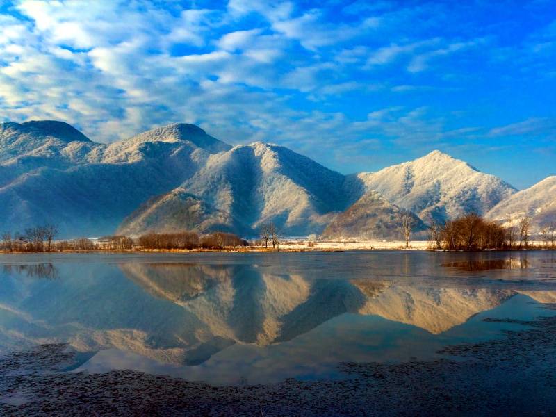 （九湖冬韻）_副本