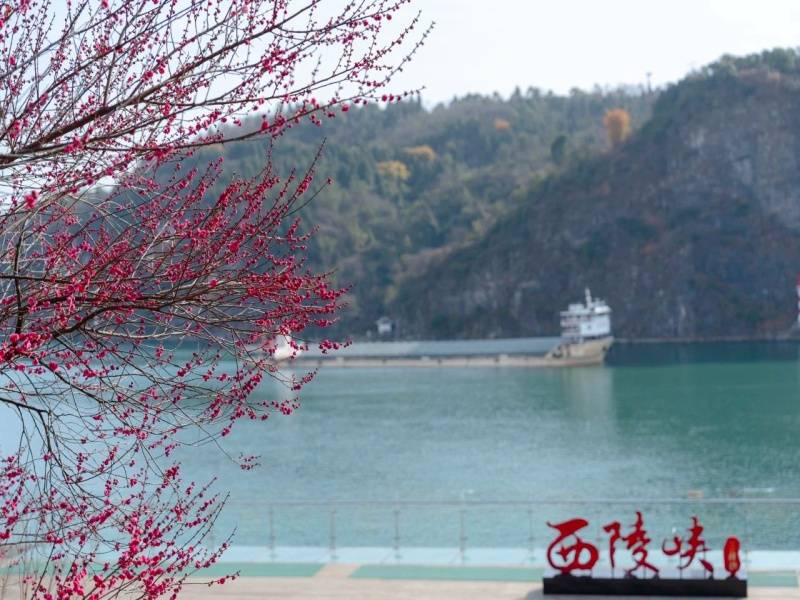 微信图片_20250328103928_副本