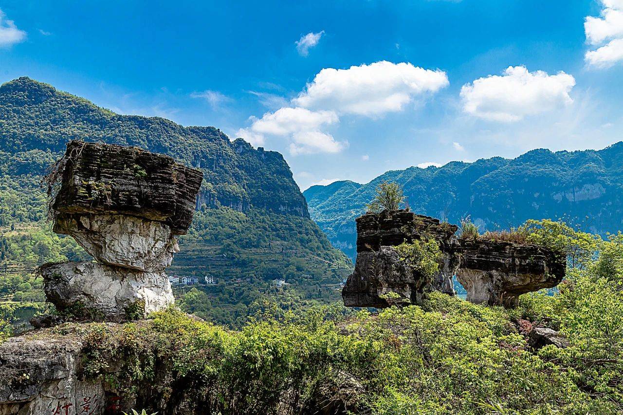 微信图片_20250526090803