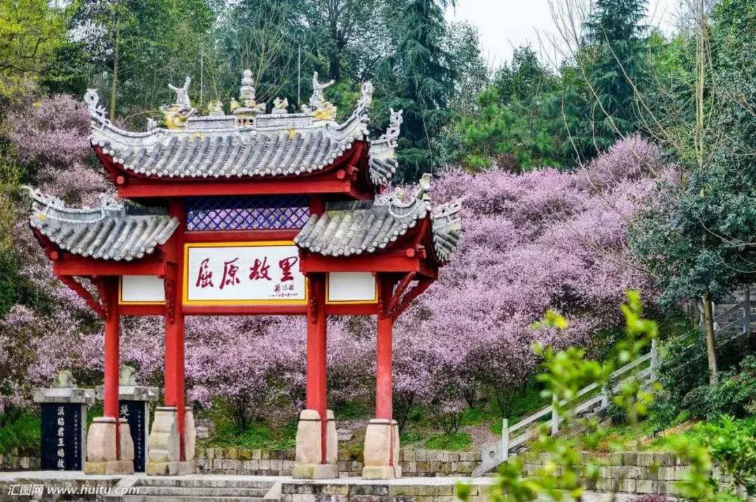 微信图片_20200616155020