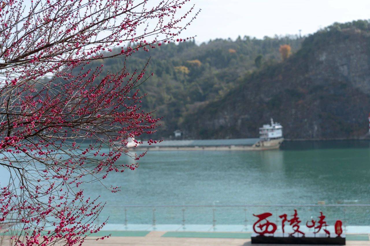 微信图片_20250328103928