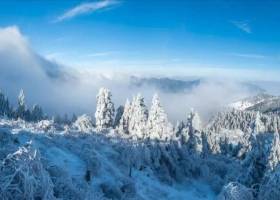 宜昌到神农架国际滑雪二日游，天天发班