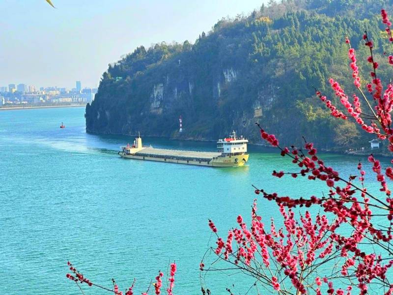 微信图片_20250328103952_副本