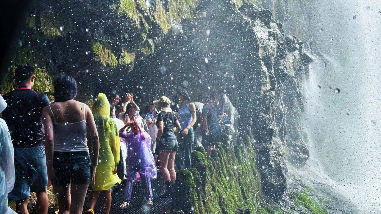 微信图片_20250606085356