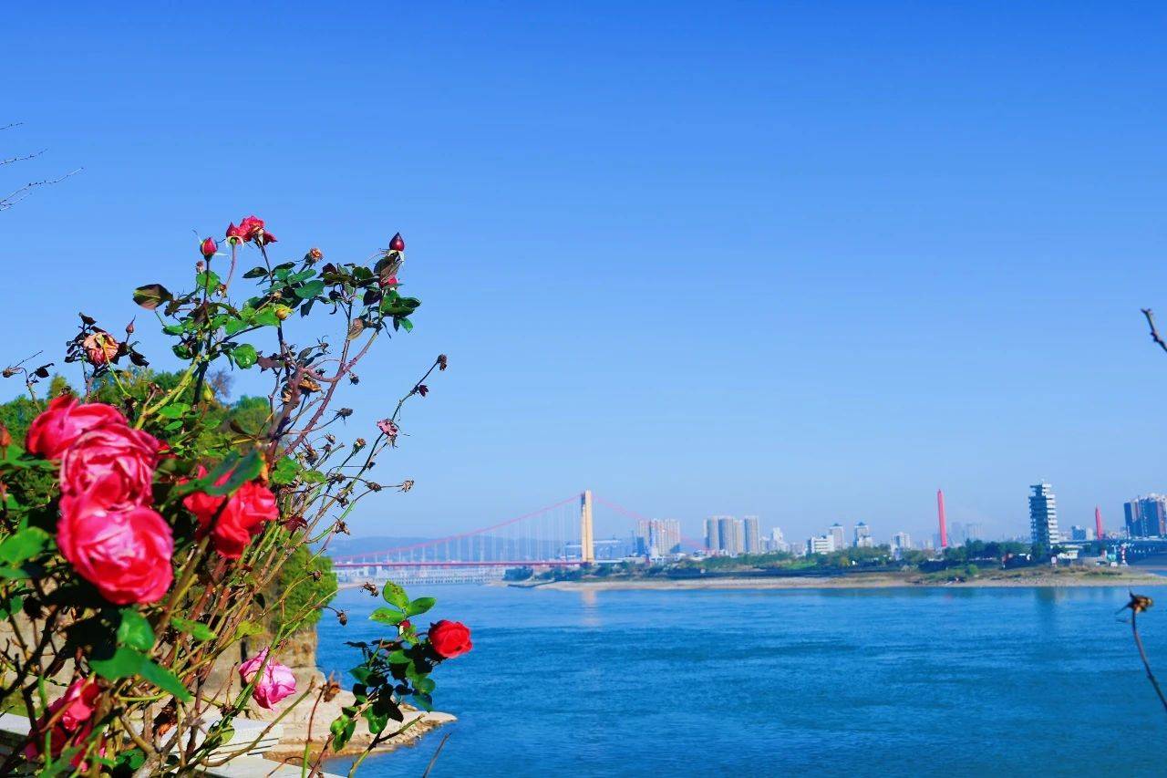 微信图片_20250609095217