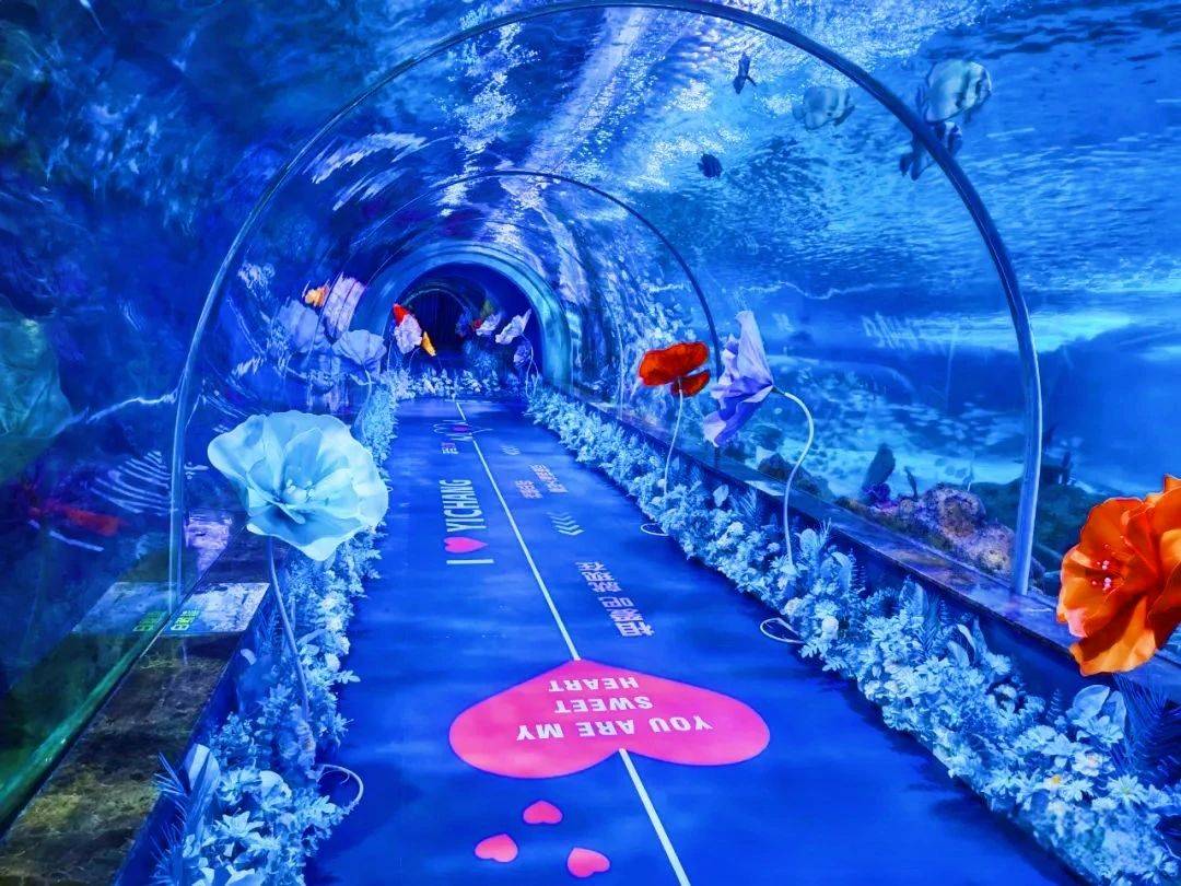 微信图片_20250609095355