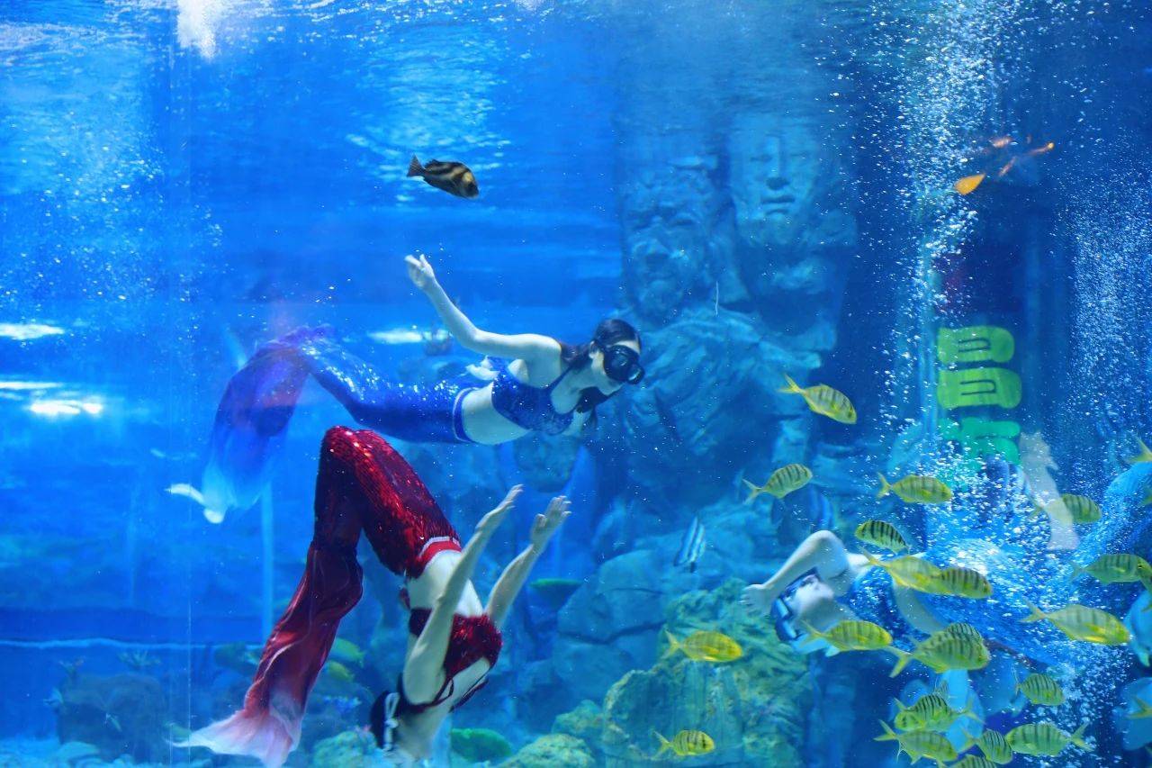 微信图片_20250609095416