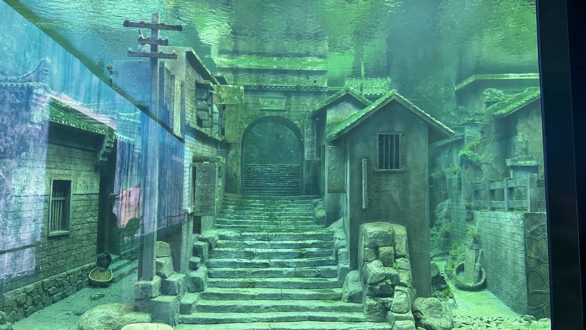 QQ图片20250609165619