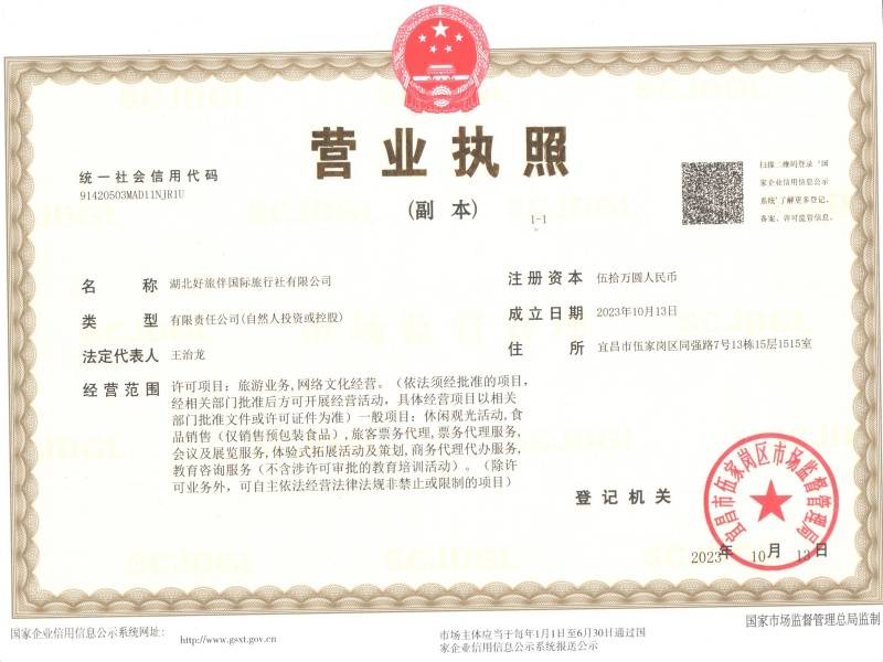 好旅伴国旅营业执照副本_副本