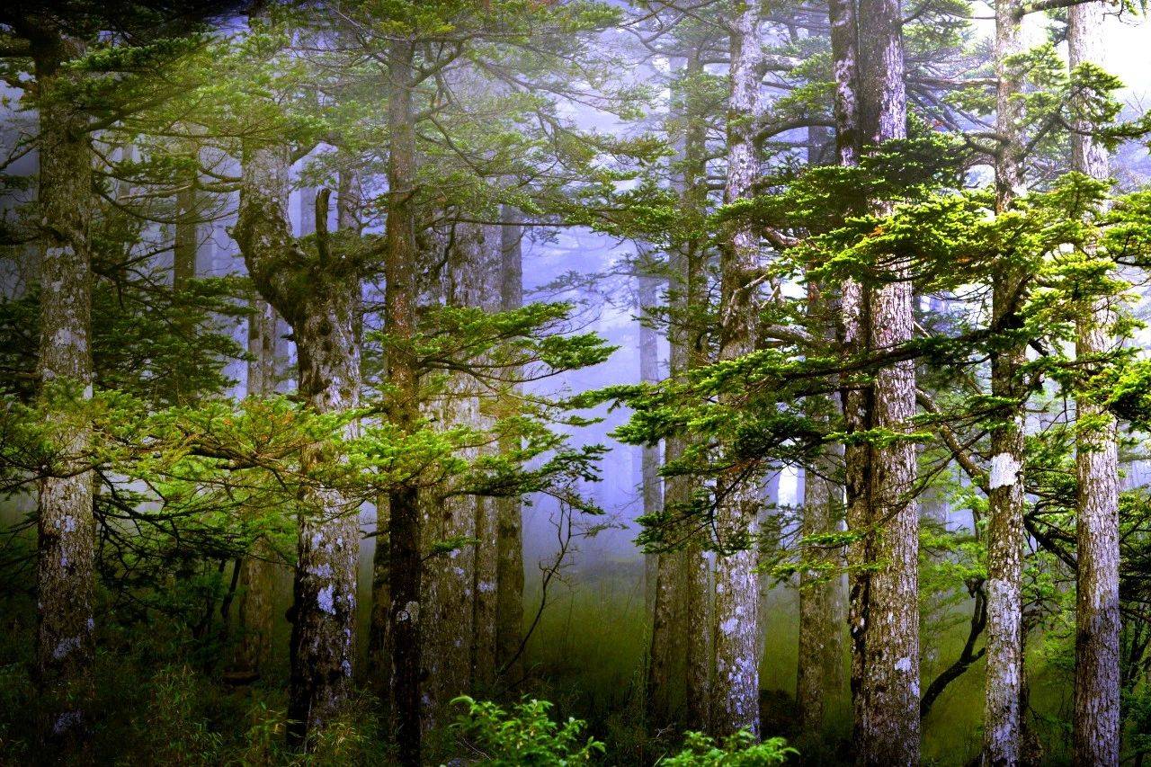 微信圖片_20250619085454