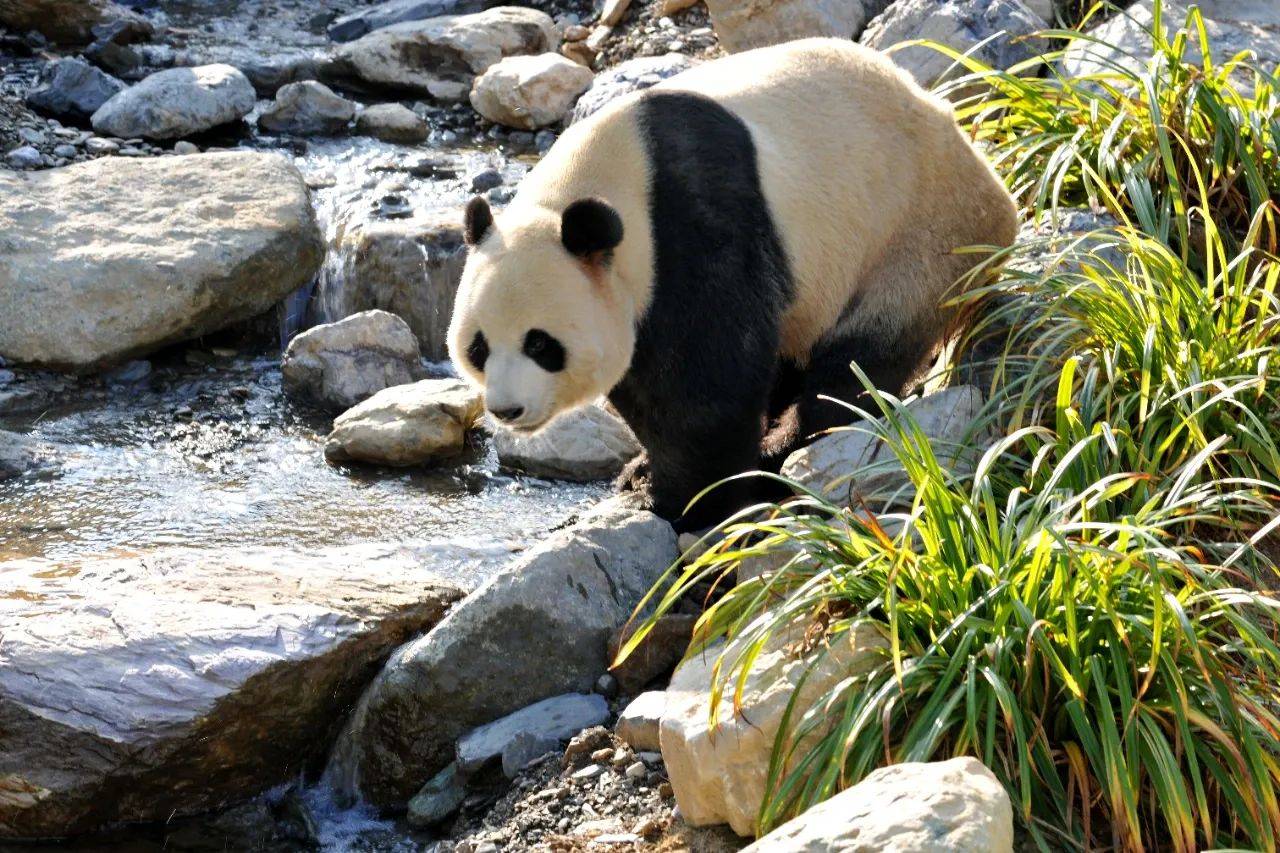 微信圖片_20250619090105