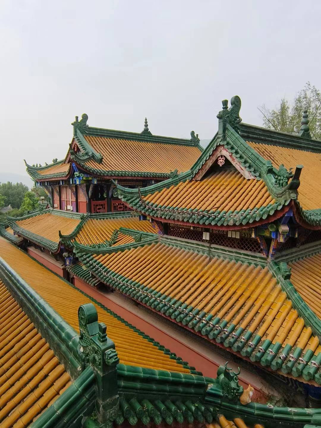 微信图片_20250307092936