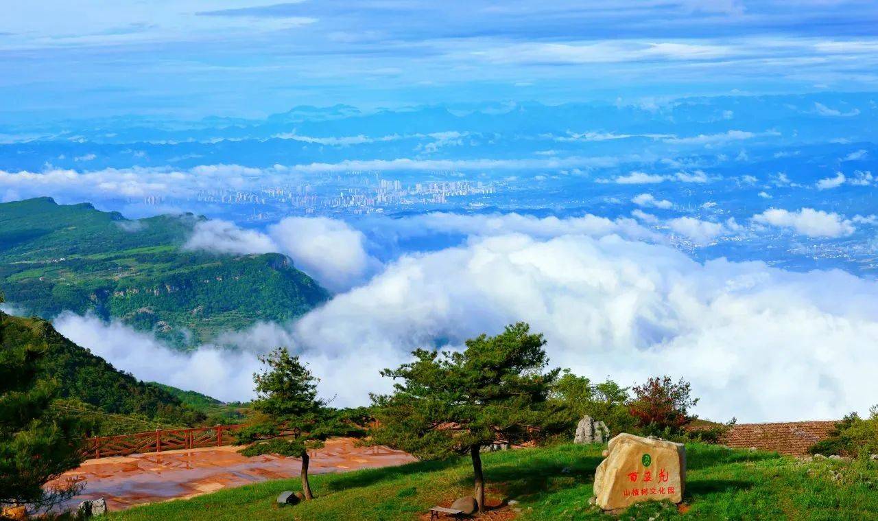 微信图片_20250704091201