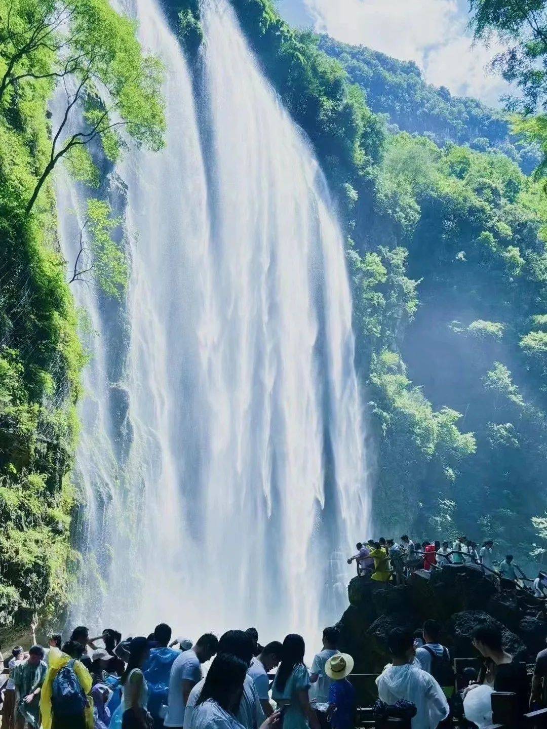 微信图片_20250709090348