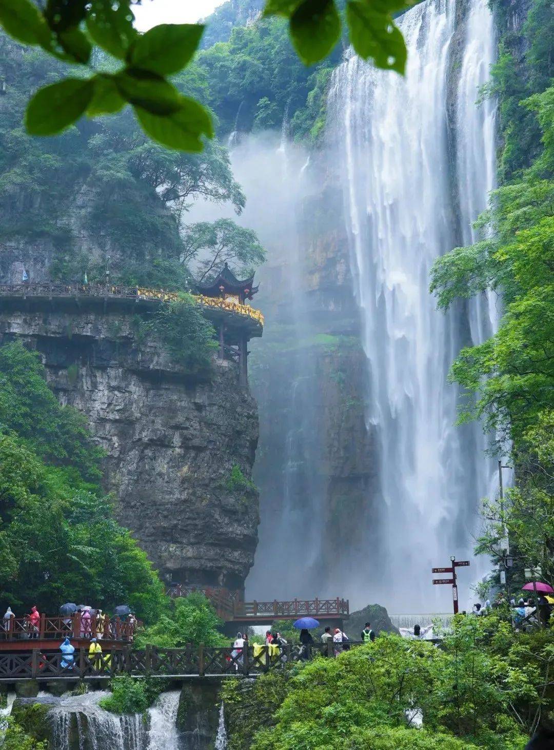 微信图片_20250709090359