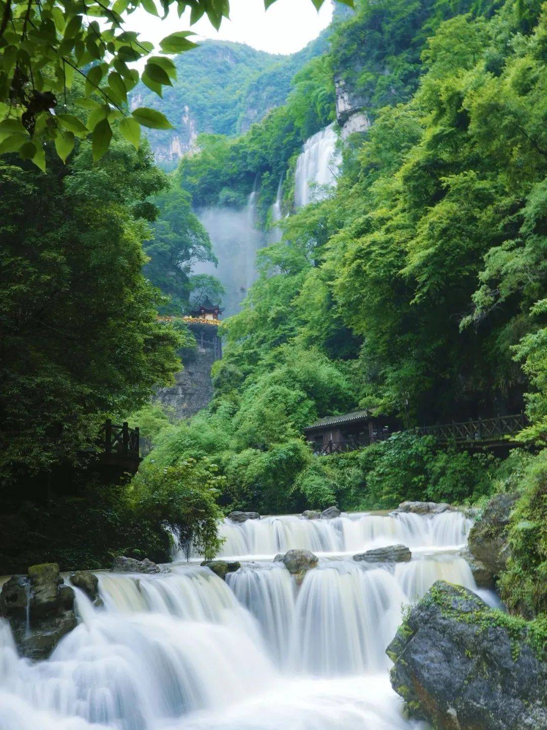 微信图片_20250709090405