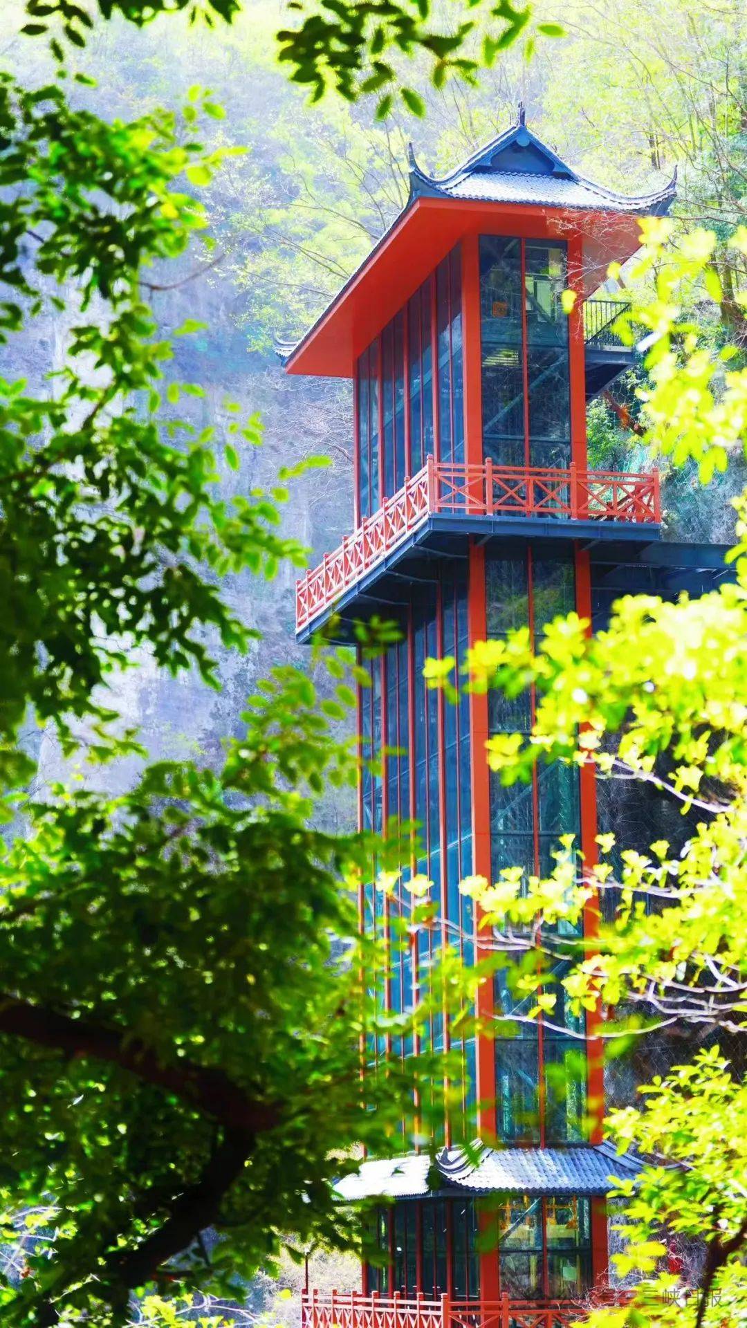 微信图片_20250709090540