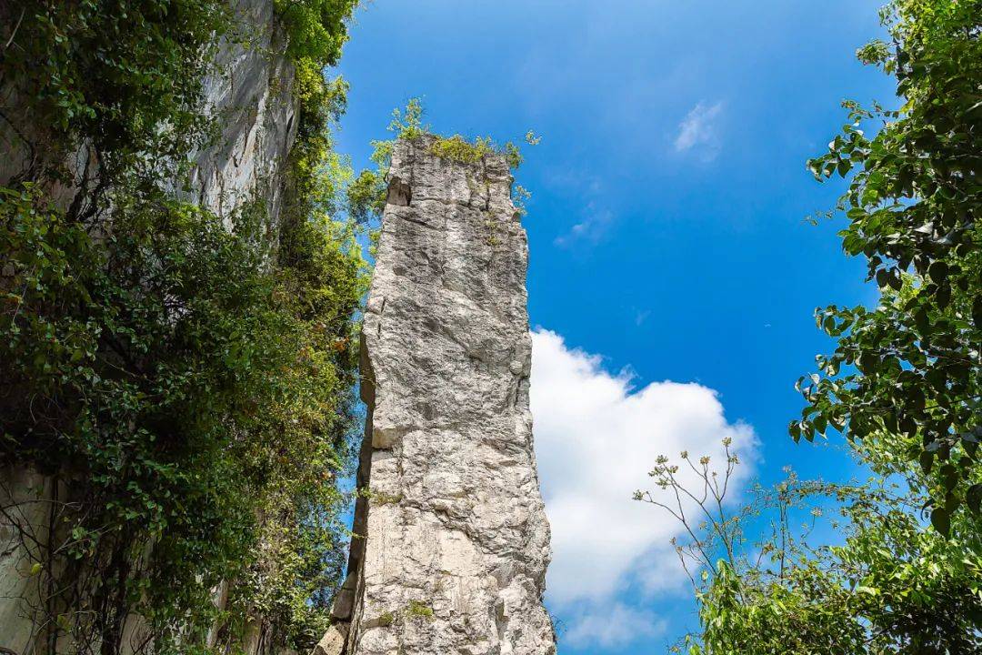 微信图片_20220225154214